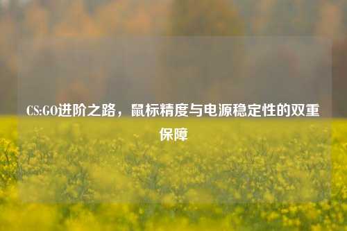 CS:GO进阶之路,鼠标精度与电源稳定性的双重保障