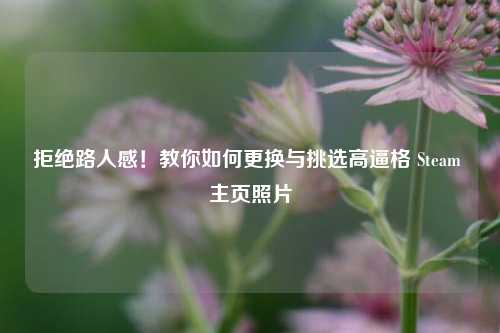 拒绝路人感!教你如何更换与挑选高逼格 Steam 主页照片