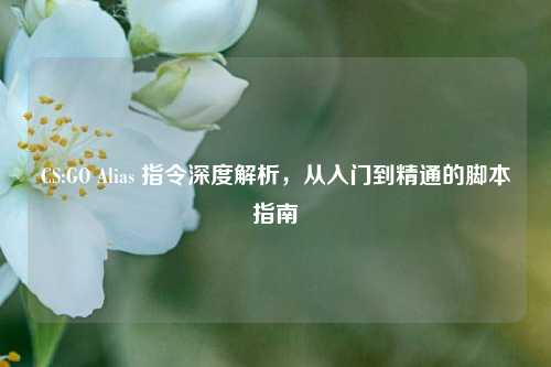 CS:GO Alias 指令深度解析,从入门到精通的脚本指南