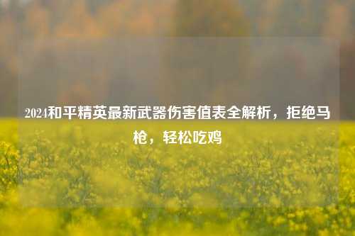 2024和平精英最新武器伤害值表全解析,拒绝马枪,轻松吃鸡