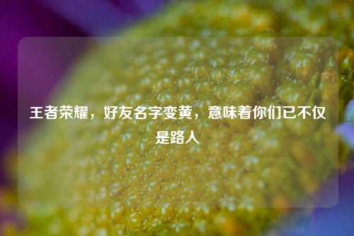 王者荣耀,好友名字变黄,意味着你们已不仅是路人