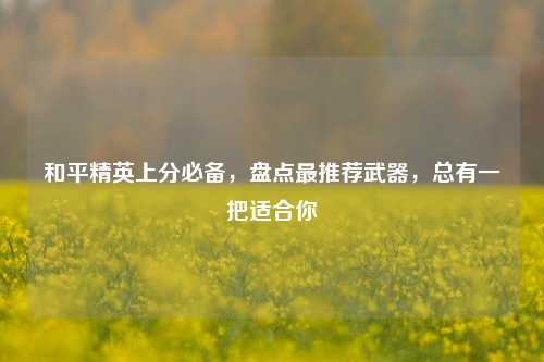 和平精英上分必备,盘点最推荐武器,总有一把适合你