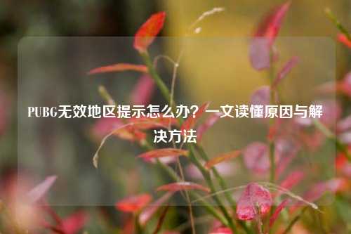 PUBG无效地区提示怎么办?一文读懂原因与解决方法