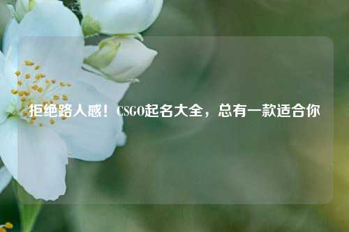 拒绝路人感!CSGO起名大全,总有一款适合你
