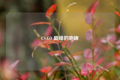 CS:GO 巅峰的咆哮
