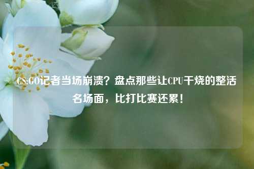 CS:GO记者当场崩溃?盘点那些让CPU干烧的整活名场面,比打比赛还累!