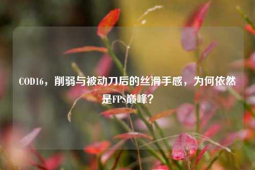 COD16,削弱与被动刀后的丝滑手感,为何依然是FPS巅峰?