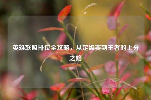 英雄联盟排位全攻略,从定级赛到王者的上分之路