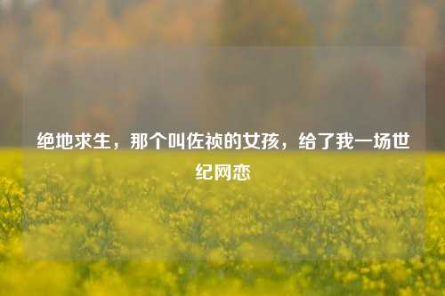 绝地求生,那个叫佐祯的女孩,给了我一场世纪网恋
