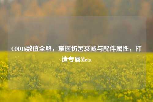 COD16数值全解,掌握伤害衰减与配件属性,打造专属Meta