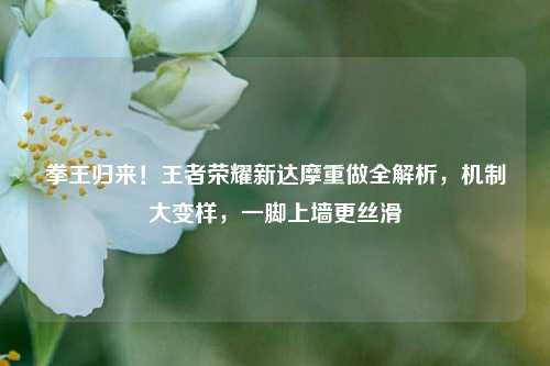 拳王归来!王者荣耀新达摩重做全解析,机制大变样,一脚上墙更丝滑
