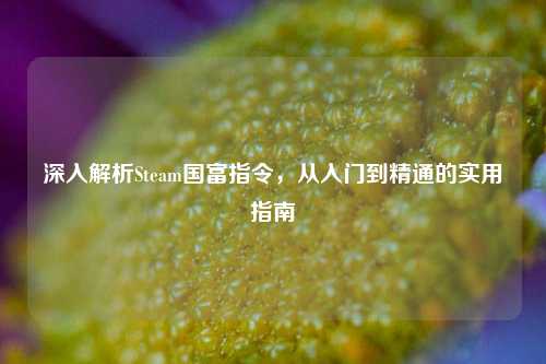深入解析Steam国富指令,从入门到精通的实用指南