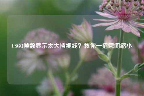 CSGO帧数显示太大挡视线?教你一招瞬间缩小