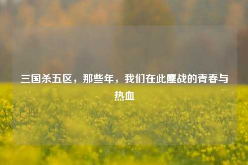 三国杀五区,那些年,我们在此鏖战的青春与热血
