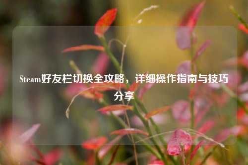 Steam好友栏切换全攻略,详细操作指南与技巧分享