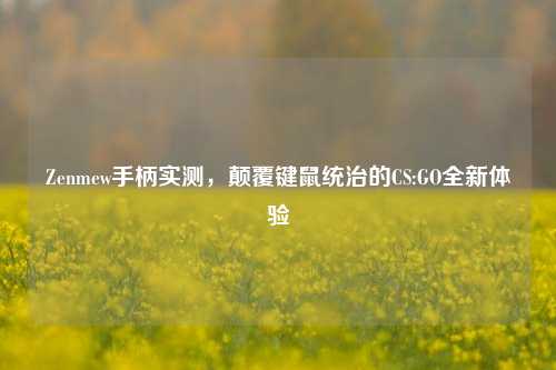 Zenmew手柄实测,颠覆键鼠统治的CS:GO全新体验