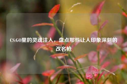 CS:GO里的灵魂注入,盘点那些让人印象深刻的改名枪
