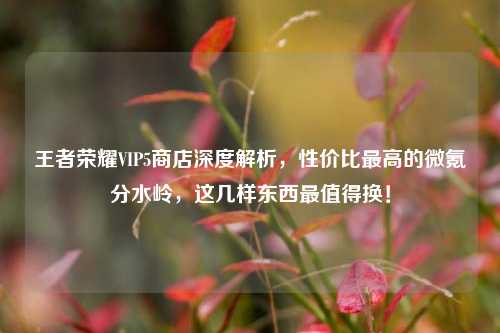 王者荣耀VIP5商店深度解析,性价比最高的微氪分水岭,这几样东西最值得换!