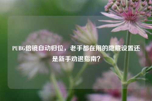 PUBG倍镜自动归位,老手都在用的隐藏设置还是新手劝退指南?