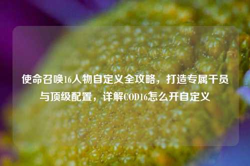 使命召唤16人物自定义全攻略,打造专属干员与顶级配置,详解COD16怎么开自定义