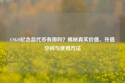 CSGO纪念品代币有用吗?揭秘真实价值、升值空间与使用方法