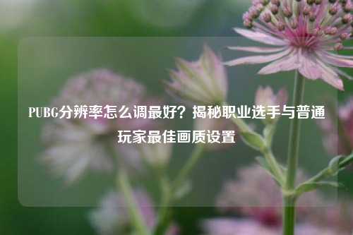 PUBG分辨率怎么调最好?揭秘职业选手与普通玩家最佳画质设置