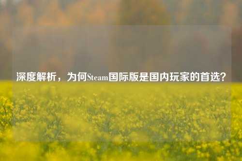 深度解析,为何Steam国际版是国内玩家的首选?