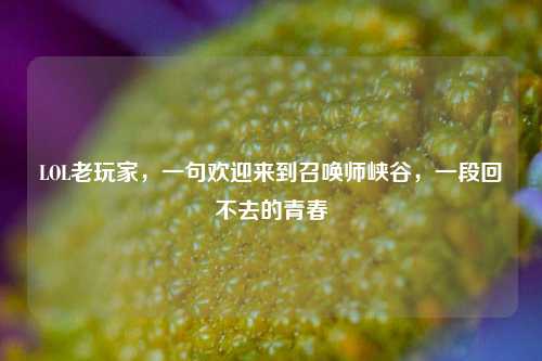 LOL老玩家,一句欢迎来到召唤师峡谷,一段回不去的青春
