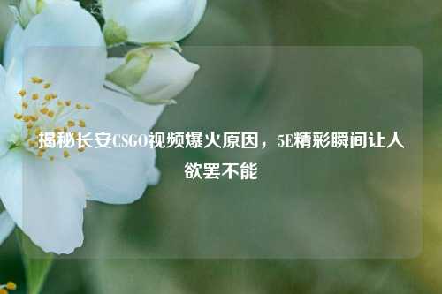 揭秘长安CSGO视频爆火原因,5E精彩瞬间让人欲罢不能