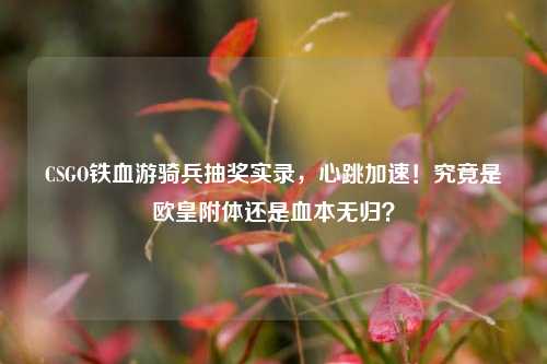 CSGO铁血游骑兵抽奖实录,心跳加速!究竟是欧皇附体还是血本无归?
