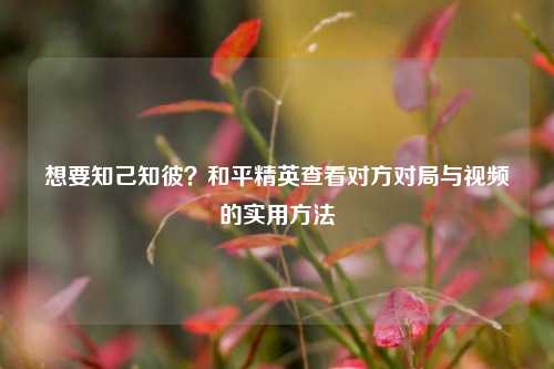 想要知己知彼?和平精英查看对方对局与视频的实用方法