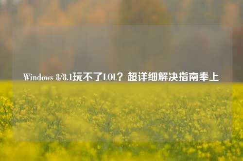 Windows 8/8.1玩不了LOL?超详细解决指南奉上
