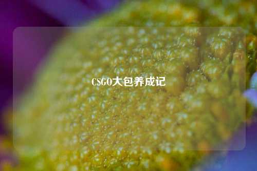 CSGO大包养成记