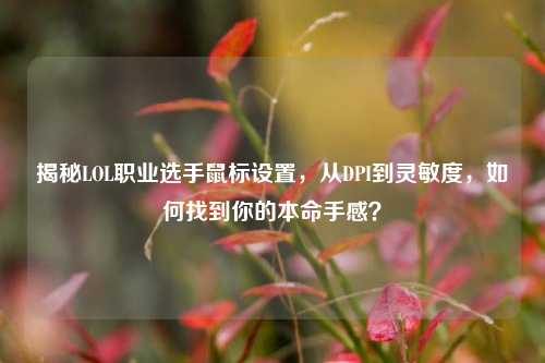 揭秘LOL职业选手鼠标设置,从DPI到灵敏度,如何找到你的本命手感?