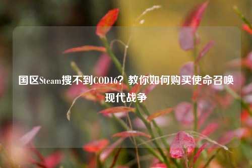 国区Steam搜不到COD16?教你如何购买使命召唤现代战争