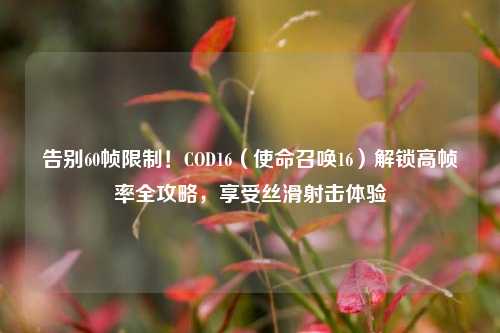告别60帧限制!COD16(使命召唤16)解锁高帧率全攻略,享受丝滑射击体验