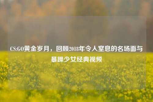 CS:GO黄金岁月,回顾2018年令人窒息的名场面与暴躁少女经典视频