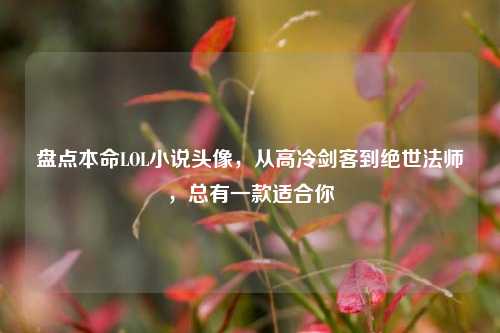 盘点本命LOL小说头像,从高冷剑客到绝世法师,总有一款适合你