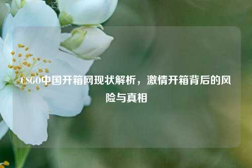 CSGO中国开箱网现状解析,激情开箱背后的风险与真相