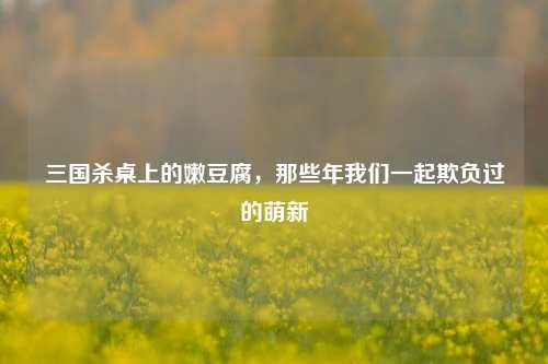 三国杀桌上的嫩豆腐,那些年我们一起欺负过的萌新