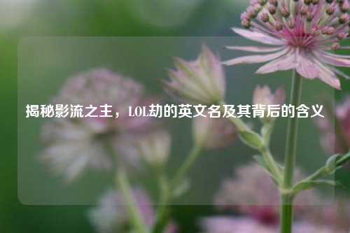 揭秘影流之主,LOL劫的英文名及其背后的含义
