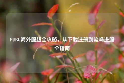 PUBG海外服超全攻略，从下载注册到流畅进服全指南