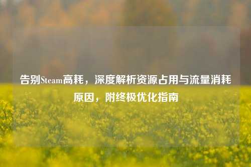 告别Steam高耗,深度解析资源占用与流量消耗原因,附终极优化指南