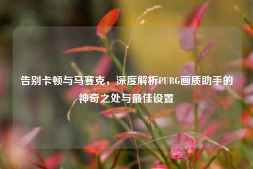 告别卡顿与马赛克,深度解析PUBG画质助手的神奇之处与最佳设置