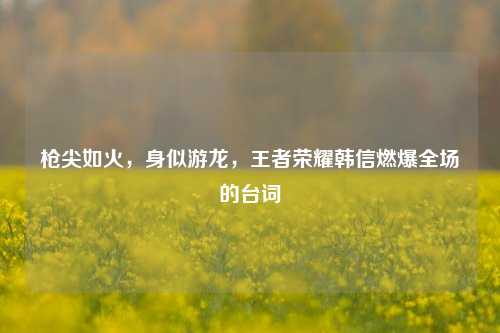 枪尖如火,身似游龙,王者荣耀韩信燃爆全场的台词