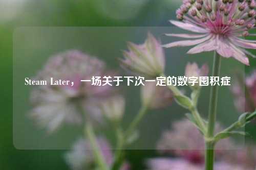 Steam Later,一场关于下次一定的数字囤积症