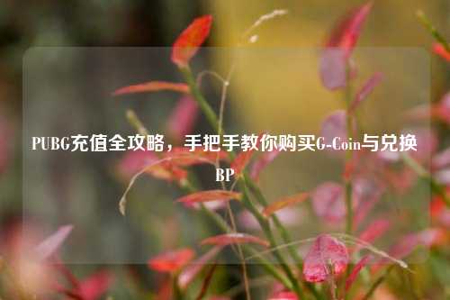 PUBG充值全攻略,手把手教你购买G-Coin与兑换BP