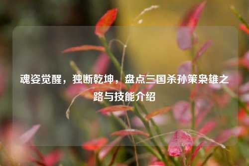 魂姿觉醒,独断乾坤,盘点三国杀孙策枭雄之路与技能介绍