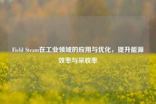 Field Steam在工业领域的应用与优化,提升能源效率与采收率