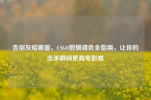 告别灰暗画面,CSGO剪辑调色全指南,让你的击杀瞬间更具电影感
